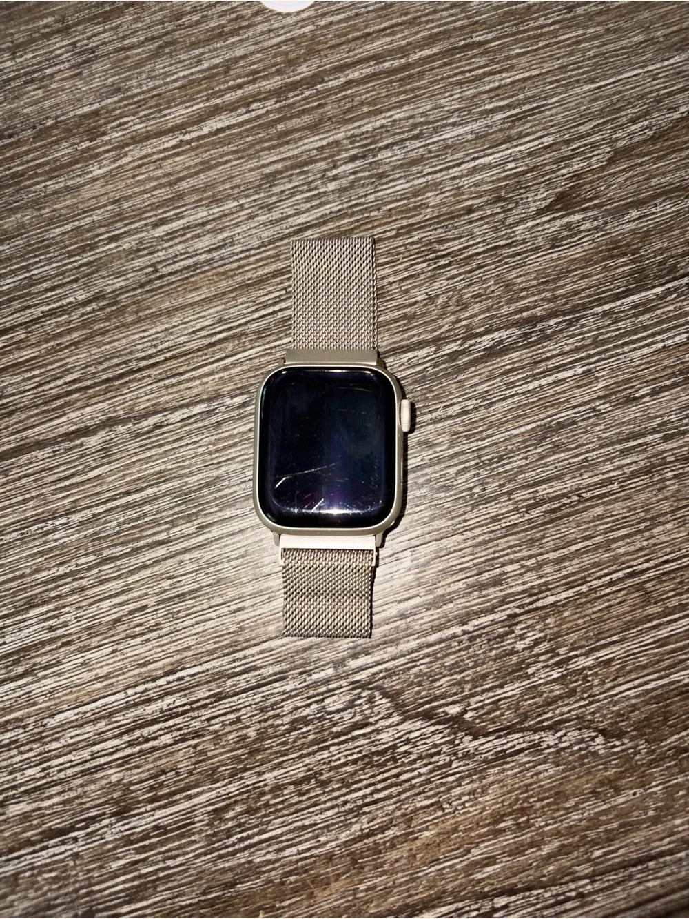 Apple Silver Stainless Mesh Band Smartwatch